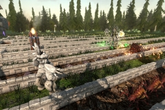 Forest2