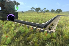 Grassland1